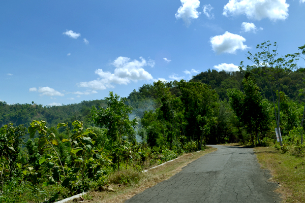 Jalanan_di_antara_Bukit_bukit_Gunung_Kidul.jpg